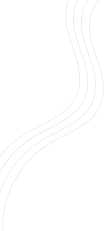 layer-31.png